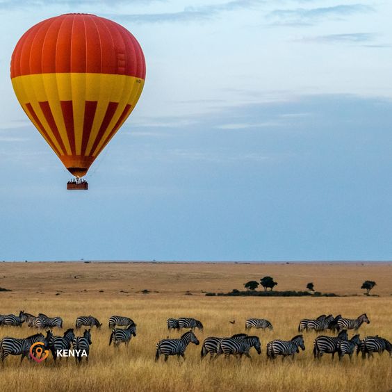 Maasai Mara National Reserve