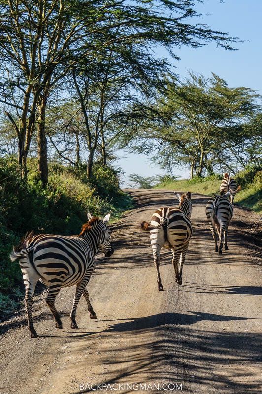 Lake Nakuru Image 3