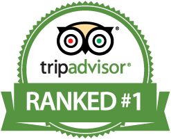 TripAdvisor Excellence
